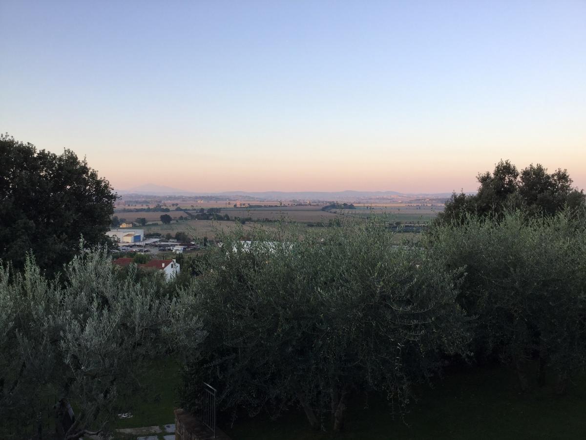Agriturismo Borgo Tra Gli Olivi カスティリオーン・フィオレンティーノ エクステリア 写真