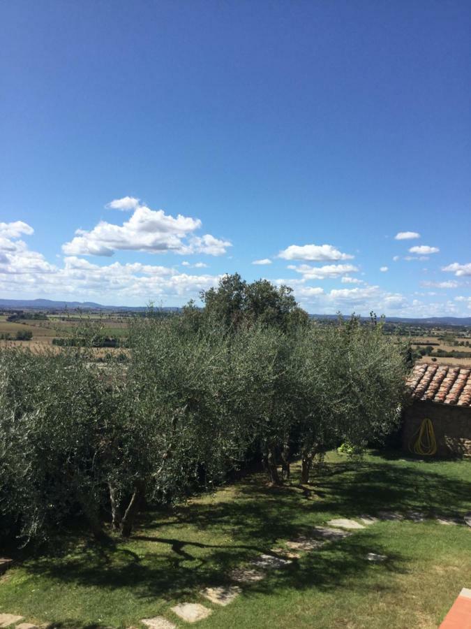 Agriturismo Borgo Tra Gli Olivi カスティリオーン・フィオレンティーノ エクステリア 写真